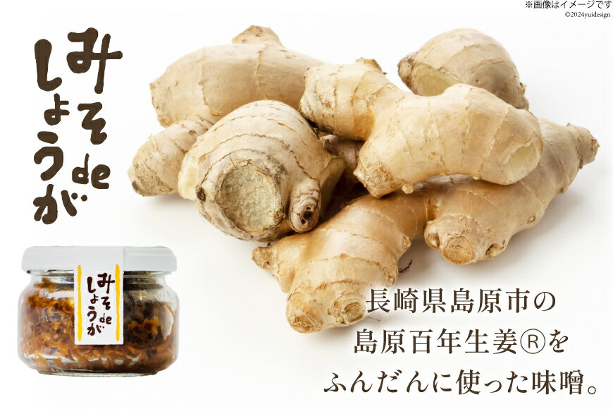 【ふるさと納税】 みそdeしょうが 100g 選べる個数[ 1個 4個 生姜 しょうが ショウガ 味噌 みそ お供 薬味 保存料 添加物 不使用 国産 松本農園 人作 長崎県 島原市 422037015]