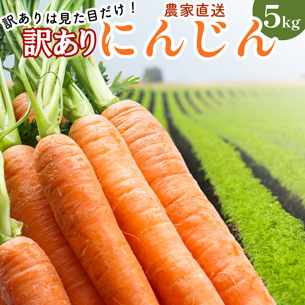 野菜・きのこ(にんじん)人気ランク25位　口コミ数「0件」評価「0」「【ふるさと納税】【AH051】【訳あり】堀農園のこだわり人参 約5kg」