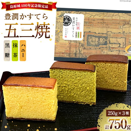 AH165 肥前島原 豊潤かすてら 250g×3種 セット 【 五三焼 カステラ かすてら カット済み 抹茶 黒糖 和菓子 お菓子 スイーツ おやつ お土産 松井老舗 長崎県 島原市 】