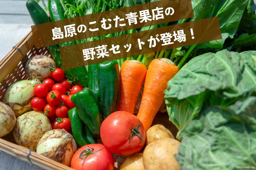 【ふるさと納税】AI022【10～5月限定出荷】こむたの旬の野菜つめあわせ(8～10品目)おまかせ M セット 【 野菜 やさい 旬 種類 人気 オススメ 新鮮 詰め合わせ こむた 小無田 青果 長崎県 島原市 】