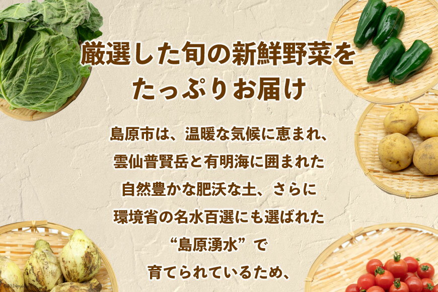 【ふるさと納税】AI022【10～5月限定出荷】こむたの旬の野菜つめあわせ(8～10品目)おまかせ M セット 【 野菜 やさい 旬 種類 人気 オススメ 新鮮 詰め合わせ こむた 小無田 青果 長崎県 島原市 】