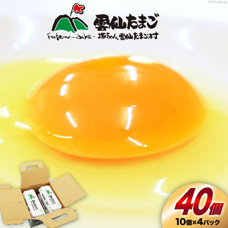 【ふるさと納税】BI024 雲仙たまごLサイズ 40個 (10個入り×4パック) (37個＋割れ補償3個入り) [ 卵 たまご 生卵 鶏卵 赤卵 玉子 新鮮 塚ちゃん雲仙たまご村 長崎県 島原市 ]