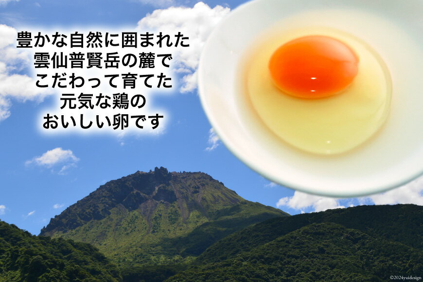 【ふるさと納税】定期便 選べる回数 たっぷり！ 雲仙たまごMSサイズ 108個(100個＋割れ補償8個入り) [ 卵 たまご 生卵 鶏卵 赤卵 玉子 新鮮 3回 6回 12回 塚ちゃん雲仙たまご村 長崎県 島原市 422037010]