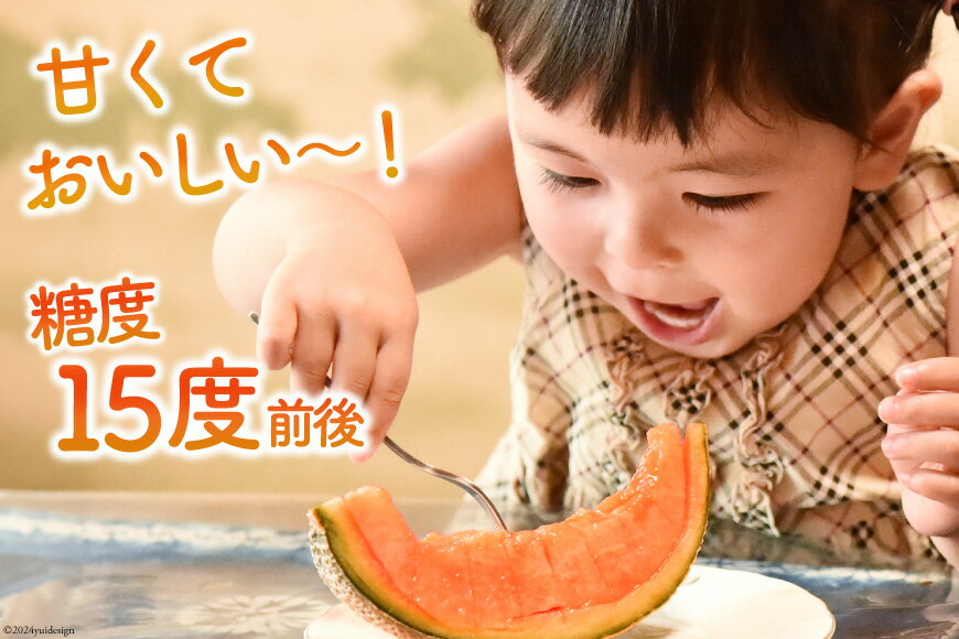 【ふるさと納税】 BI113 【令和8年度出荷分】 島原赤肉メロン「マルセイユ」（3L×3玉） [ メロン めろん マルセイユ 赤肉 フルーツ 果物 小原商店 長崎県 島原市 ]