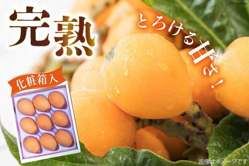 【ふるさと納税】AI208【期間限定発送】訳あり 長崎 びわ 500g 温室ハウス栽培 長崎早生 [ フルーツ 枇杷 ビワ 果物 化粧箱入り 季節限定 99アイランドファーム 長崎県 島原市 ]