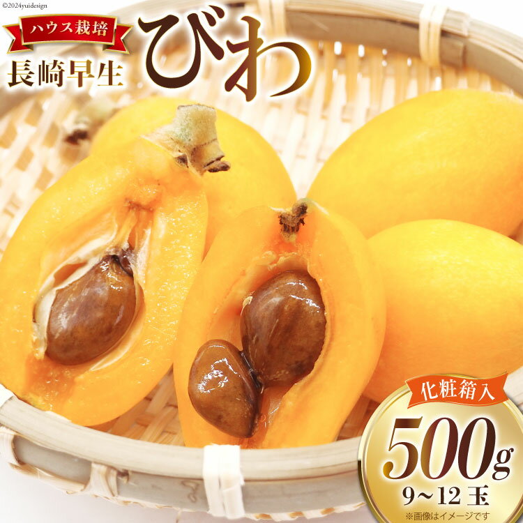 [令和8年度出荷分]赤秀 長崎 びわ 500g 温室ハウス栽培 長崎早生 [フルーツ 枇杷 ビワ 果物 化粧箱入り 季節限定 99アイランドファーム 長崎県 島原市 ]
