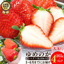【ふるさと納税】 【期間限定発送】EA050 長崎県知事賞受賞【 大玉 いちご 】「 ゆめのか (3L~5L)」265g×4パック <1~4月にお届け> レビューキャンペーン