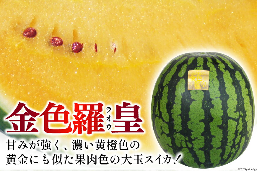 【ふるさと納税】BG075【令和7年度出荷分】幻のゴールデンスイカ！～金色羅皇（ラオウ）～（7～12kg） [先行予約 数量限定 すいか スイカ 西瓜 フルーツ 果物 長崎 長崎県 島原市]