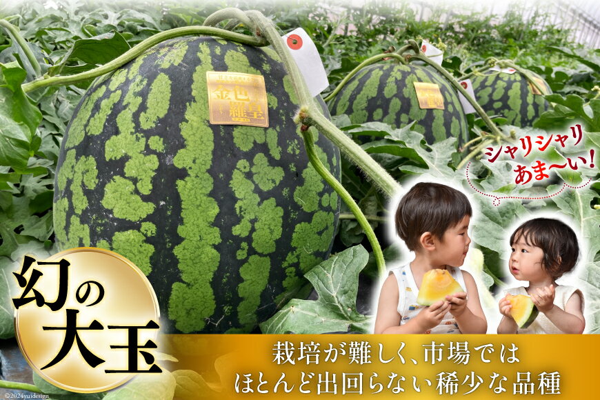 【ふるさと納税】BG075【令和7年度出荷分】幻のゴールデンスイカ！～金色羅皇（ラオウ）～（7～12kg） [先行予約 数量限定 すいか スイカ 西瓜 フルーツ 果物 長崎 長崎県 島原市]