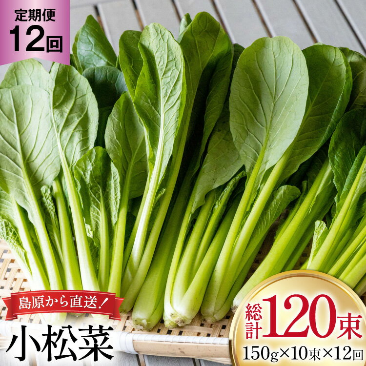 【ふるさと納税】AI331 定期便 12回 小松菜 10束 [ 野菜 こまつな やさい 冷蔵 葉物野菜 田中農園 長崎県 島原市 ]