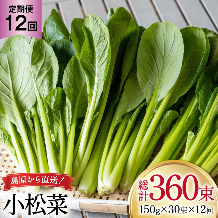 ڤդ뤵ǼǡAI334  12  30« [  ޤĤ 䤵 ¢ ʪ  Ĺ긩 縶 ]