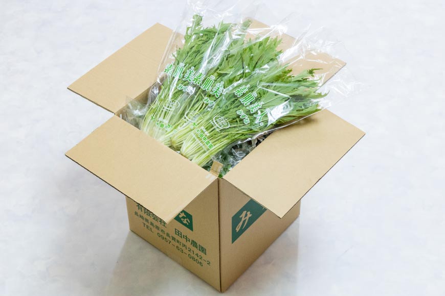 【ふるさと納税】AI340 定期便 12回 水菜 30束 [ 野菜 みずな サラダ やさい 冷蔵 葉物野菜 田中農園 長崎県 島原市 ]