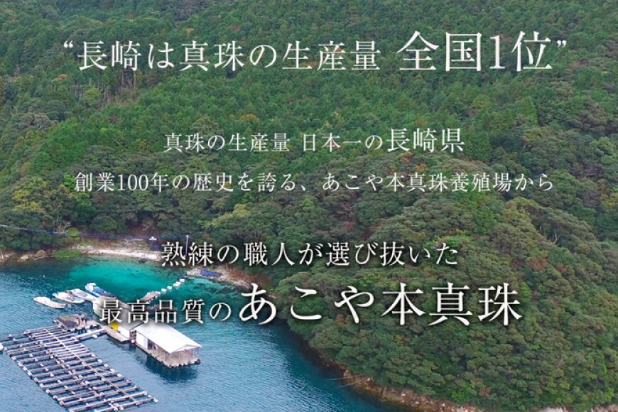 【ふるさと納税】 AI388 Marycoco あこや本真珠 8mm 一粒 パールネックレス ゴールド ケース付 [NA801-G ネックレス 一粒ネックレス パール 真珠 アコヤ真珠 本真珠 ジュエリー アクセサリー 金属アレルギー対応 メアリーココ 長崎県 島原市 ]