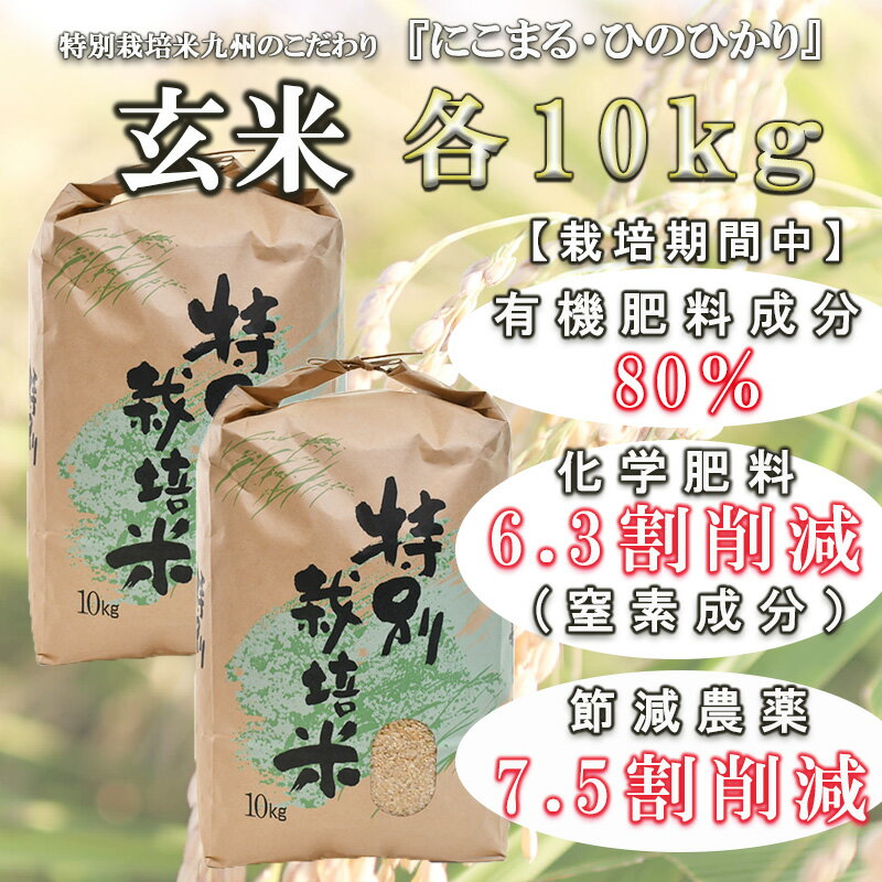 【ふるさと納税】【特別栽培米】九州のこだわり玄米食べ比べ(1
