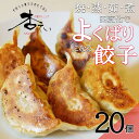 【ふるさと納税】焼・蒸・茹・煮　四変化のよくばり餃子　20個