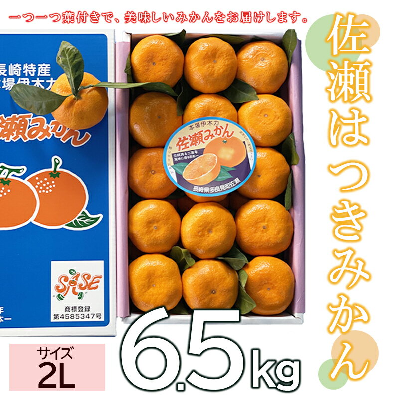 アイテムID:483531の画像1枚目