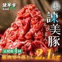 【ふるさと納税】【定期便 4ヶ月連続】便利な小分けパック！長崎のブランド豚 諫美豚(かんびとん)切り落とし300g×7パック 2.1kg（全4回 合計8.4kg）　野菜炒め　肉じゃが　豚汁　焼きそば　豚肉