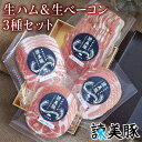 生ハム 【ふるさと納税】諫美豚生ハム＆生ベーコン3種セット計4P / 豚肉 ハム 生ハム ベーコン 生ベーコン ロース 肩ロース バラ 小分け / 諫早市 / 株式会社土井農場 [AHAD058]