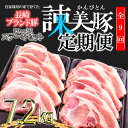 【ふるさと納税】【9回定期便】諫美豚のロースステーキセット800g / 諫美豚 ロース ロースステーキ ステーキ 豚肉 / 諫早市 / 株式会社土井農場 [AHAD041]