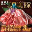 【ふるさと納税】諫美豚プレミアム3kg / 豚肉 ロースステーキ ロース バラ モモ 切り落とし しゃぶしゃぶ 焼肉 / 諫早市 / 株式会社土井農場 [AHAD054]