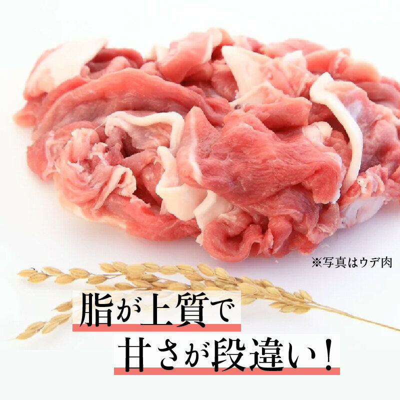 【ふるさと納税】【4回定期便】豚肉切り落とし2.1kg!諫早平野の米で育てた諫美豚 / 諫美豚 豚肉 切り落とし 肉 豚 お肉 国産 人気 スライス / 諫早市 / 株式会社土井農場 [AHAD014] 3