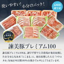 【ふるさと納税】【2回定期便】諫早平野の米で育てた諫美豚プレミアム100お勧めセット3kg / 諫美豚 豚肉 肩ロース ステーキ モモ 切り落とし ハンバーグ ロースステーキ / 諫早市 / 株式会社土井農場 [AHAD023] 3