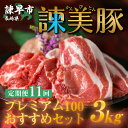 【ふるさと納税】【定期便 11ヶ月連続】すっきり上質な脂身！長崎のブランド豚 諫美豚(かんびとん)プレミアム100おすすめセット3kg(全11回 合計33kg) ロースステーキ ロース生姜焼き用 バラしゃぶしゃぶ用 バラ焼肉用 モモしゃぶしゃぶ用 モモ薄切り 切り落とし 豚肉