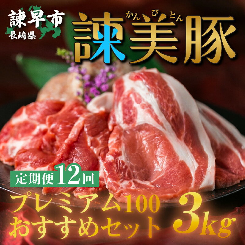 【ふるさと納税】『定期便』_諫早平野の米で育てた諫美豚プレミアム100お勧めセット3kg_全12回[AHAD033]