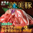 【ふるさと納税】【2回定期便】諫早平野の米で育てた諫美豚プレミアム100お勧めセット3kg / 諫美豚 豚肉 肩ロース ステーキ モモ 切り落とし ハンバーグ ロースステーキ / 諫早市 / 株式会社土井農場 [AHAD023] 1