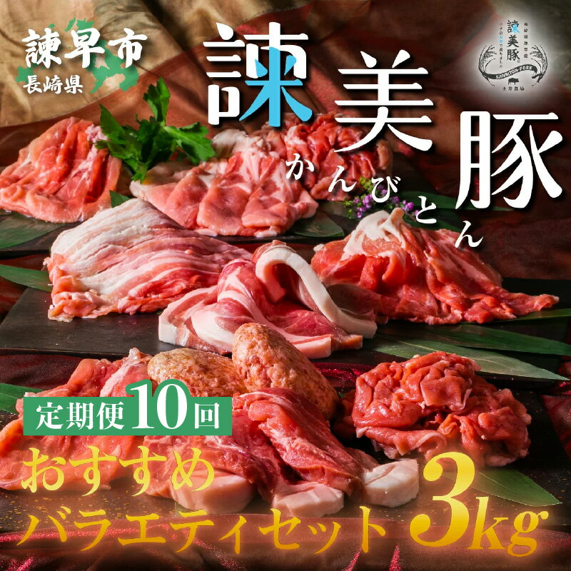 【ふるさと納税】【10回定期便】諫美豚おすすめバラエティセット3kg / 諫美豚 豚肉 肩ロース ステーキ ..