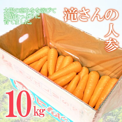 滝さんの人参 10kg / にんじん ニンジン 人参 やさい 野菜 / 諫早市 / 滝商店株式会社 [AHCU001]