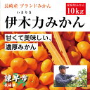 【ふるさと納税】先行予約 伊木力みかん（家庭用）10kg /