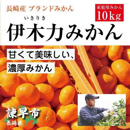 先行予約 伊木力みかん（家庭用）10kg / 伊木力みかん みかん 蜜柑 ミカン 柑橘 / 諫早市 / 株式会社山野果樹園 [AHCF001]