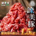 【ふるさと納税】便利な小分けパック！長崎のブランド豚 諫美豚(かんびとん)切り落とし 300g×5パック 1.5kg国産 長崎産 米豚 豚肉 モモ ウデ 豚こま ポーク 土井農場野菜炒め 肉じゃが 豚汁 カレー 焼きそば長崎県 諫早市 送料無料