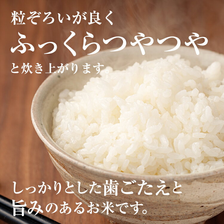 アイテムID:475369の画像1枚目