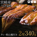 21位! 口コミ数「0件」評価「0」魚荘のうなぎ蒲焼き(2尾入り) / うなぎ ウナギ 鰻 蒲焼き 蒲焼 / 諫早市 / 有限会社魚荘 [AHCK002]