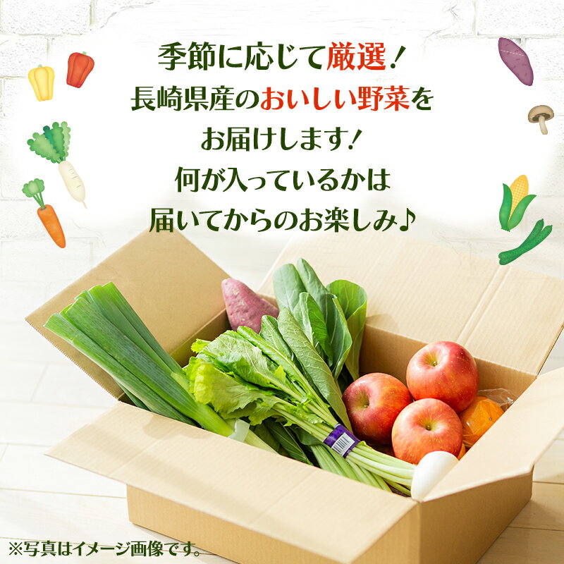 【ふるさと納税】諫早産野菜の詰め合わせ(8～9品目程度) / 季節 旬 野菜 春野菜 夏野菜 秋野菜 / 諫早市 / 直売所肥前めっけもん市 [AHDI004]