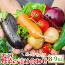 8位! 口コミ数「1件」評価「5」諫早産野菜の詰め合わせ(8～9品目程度) / 季節 旬 野菜 春野菜 夏野菜 秋野菜 / 諫早市 / 直売所肥前めっけもん市 [AHDI00･･･ 