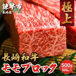 【ふるさと納税】長崎和牛モモブロック(タタキ・ローストビーフ・焼肉等)500g×1ブロック