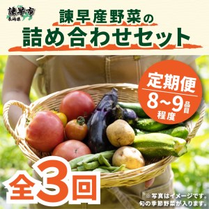 【3回定期便】諫早産野菜の詰め合わせ(8～9品目程度) / 季節 旬 野菜 春野菜 夏野菜 秋野菜 / 諫早市 / 直売所肥前めっけもん市 [AHDI001]