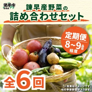 【ふるさと納税】【6回定期便】諫早産野菜の詰め合わせ(8～9品目程度) / 季節 旬 野菜 春野菜 夏野菜 秋野菜 / 諫早市 / 直売所肥前めっけもん市 [AHDI002]