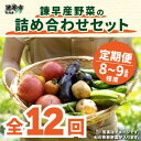 1位! 口コミ数「1件」評価「5」【12回定期便】諫早産野菜の詰め合わせ(8～9品目程度) / 季節 旬 野菜 春野菜 夏野菜 秋野菜 / 諫早市 / 直売所肥前めっけもん市･･･ 