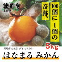 【ふるさと納税】先行予約 伊木力みかん「はなまるみかん」（贈