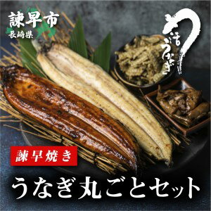 [諫早淡水]うなぎまるごとセット / うなぎ ウナギ 鰻 蒲焼き 蒲焼 白焼き 白焼 / 諫早市 / 活うなぎ問屋 諫早淡水 [AHAT001]