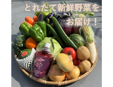 【ふるさと納税】【定期便 12ヶ月連続】7~10品目！野菜のプロが厳選した旬の野菜・きのこ・フルーツ・しそジュースおまかせ詰め合わせセット（全12回）