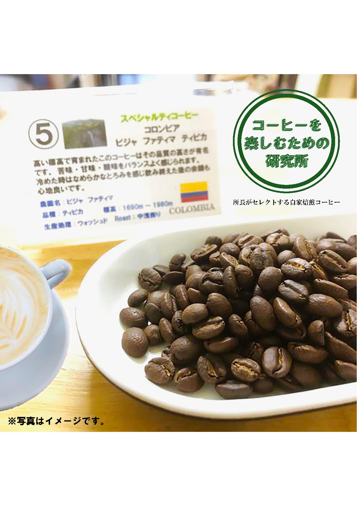 【ふるさと納税】【5回定期便】自家焙煎ハイグレードコーヒーを含むおまかせセット(豆のまま) / ハイグレードコーヒー ブレンド コーヒー 豆 / 諫早市 / R and R coffee labo [AHCJ041]