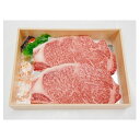 【ふるさと納税】長崎和牛サーロインステーキ用(約220g×2