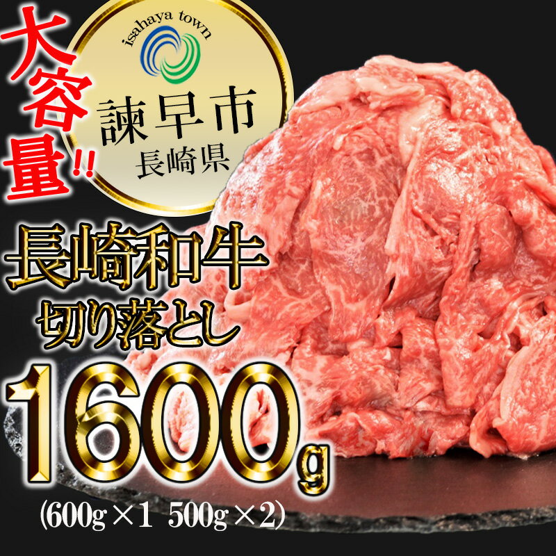 127500円 【半額】 長崎和牛 シャトーブリアン 約1.5kg 150g×10枚 BBU033