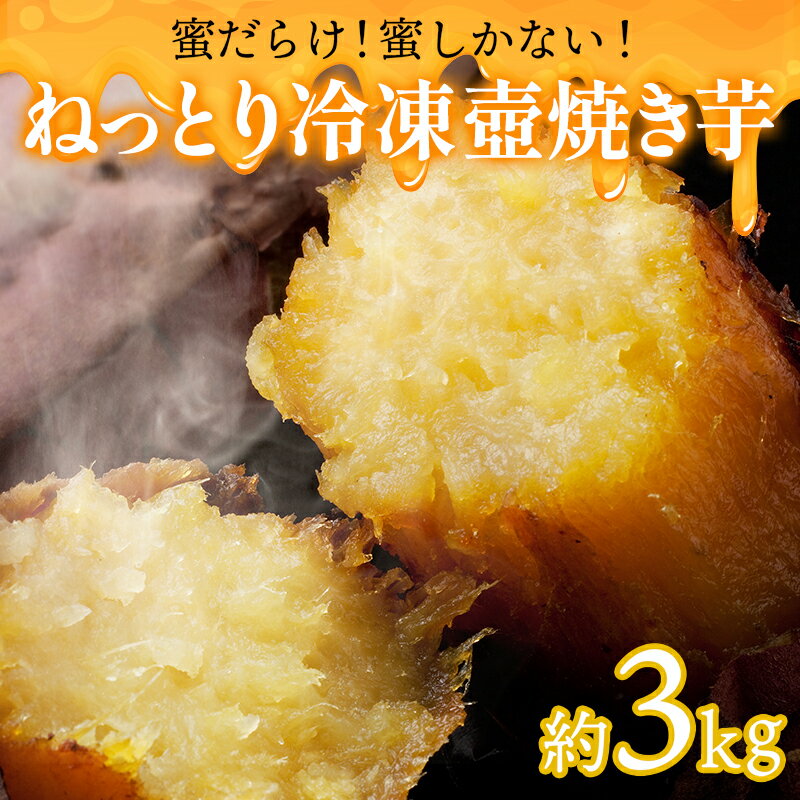 蜜だらけ!蜜しかない!ねっとり冷凍壺焼き芋(合計約3kg) / 焼き芋 焼芋 やきいも さつまいも / 諫早市 / 松尾農園 [AHAY003]