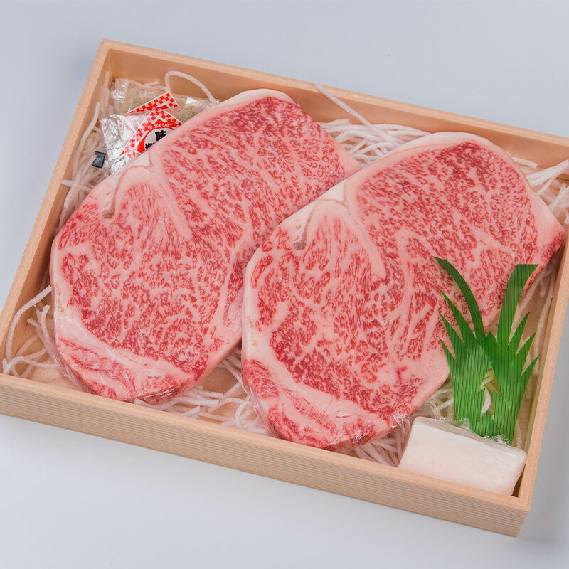 [2回定期便]A5ランク サーロインステーキ 2枚計400g / 長崎県産 長崎和牛 牛肉 和牛 牛 サーロイン ステーキ / 諫早市 / 焼肉おがわ [AHCD006]